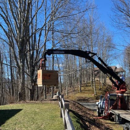 Crane lifting cardboard box near trees and house on a sunny day.