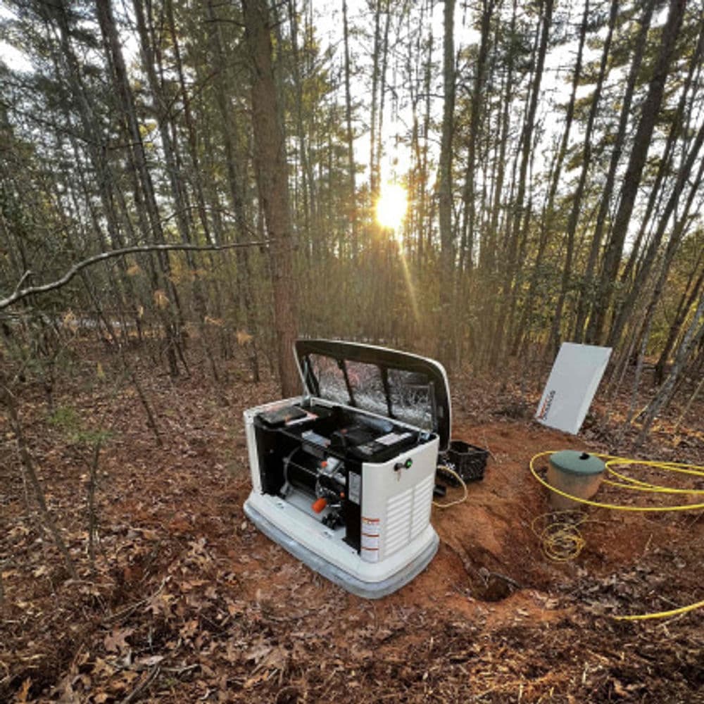 Generator installed in forest at sunset, surrounded by trees and power cables.